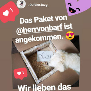 bild13