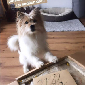 bild2
