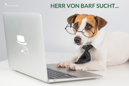Hund am Laptop Jobsuche - Herr von Barf